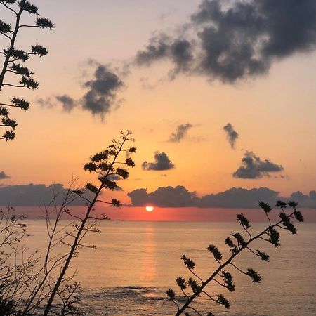 "Suliscenti" Dimora Siciliana B&B アヴォラ エクステリア 写真