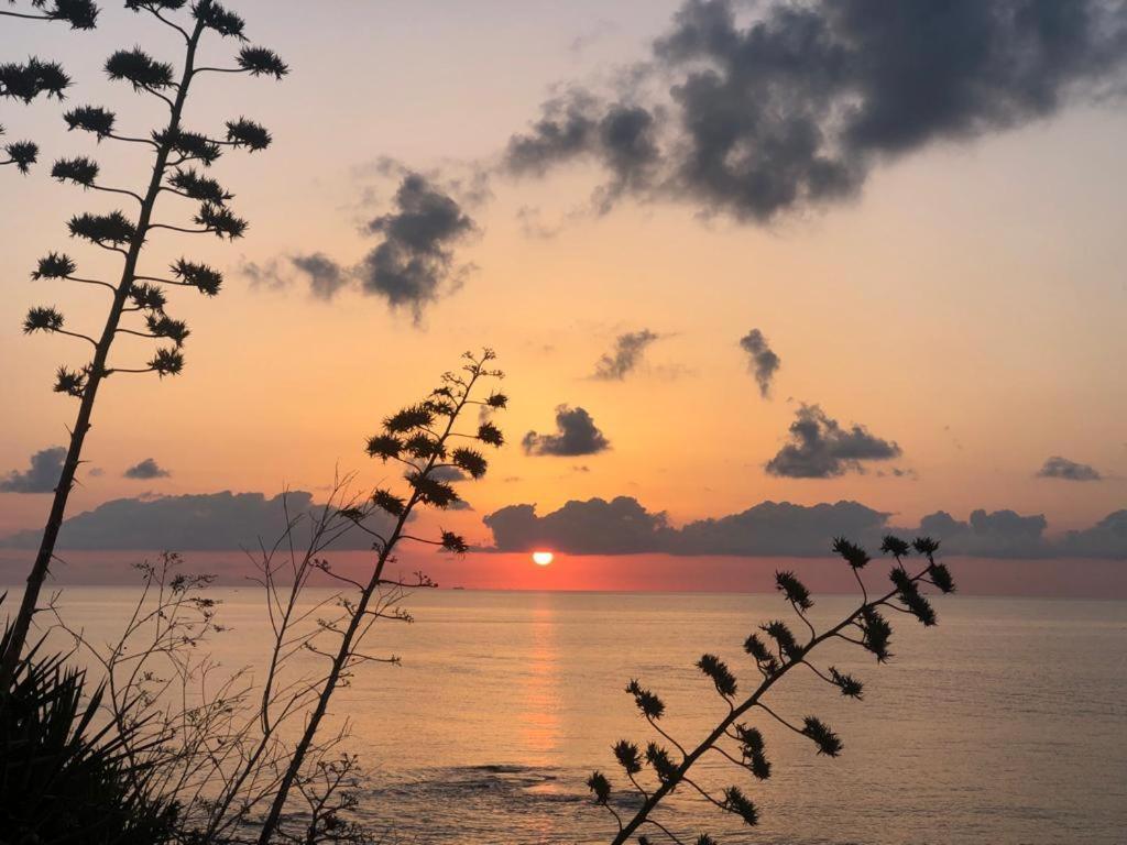 "Suliscenti" Dimora Siciliana B&B アヴォラ エクステリア 写真