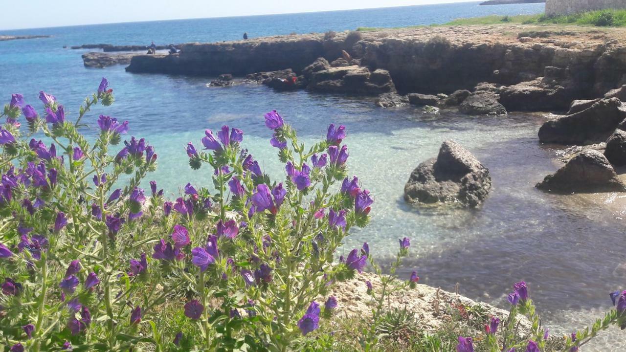 "Suliscenti" Dimora Siciliana B&B アヴォラ エクステリア 写真